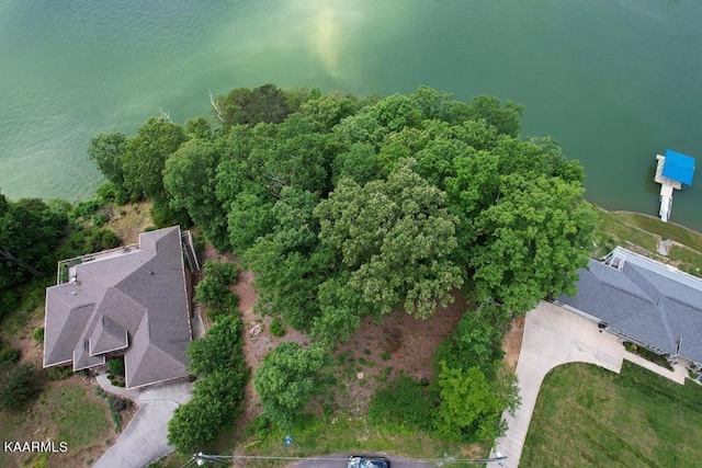 1147 Lakefront Pl, White Pine, TN 37890 - photo 1