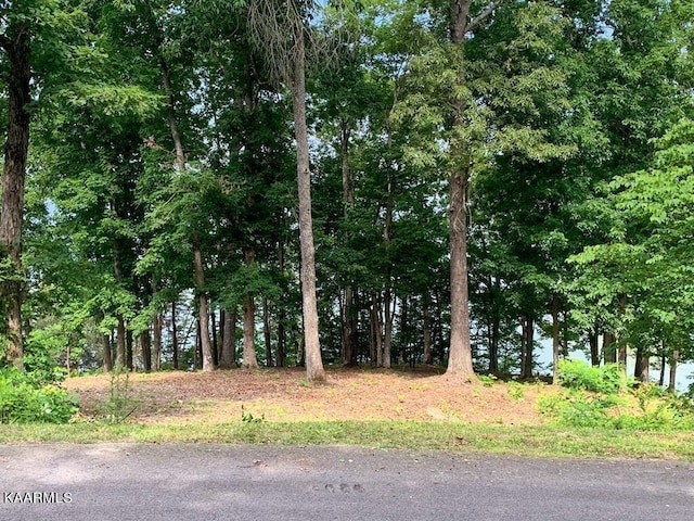 1147 Lakefront Pl, White Pine, TN 37890 - photo 14