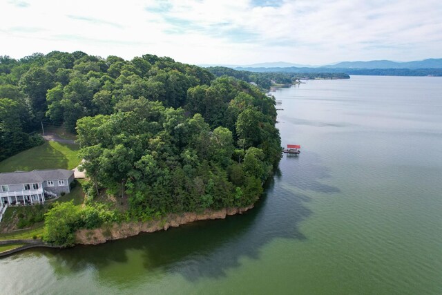 1147 Lakefront Pl, White Pine, TN 37890 - photo 6
