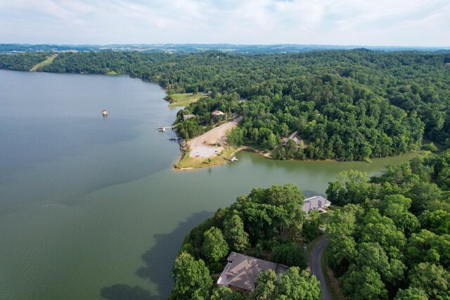 1147 Lakefront Pl, White Pine, TN 37890 - photo 11