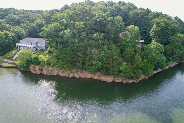 1147 Lakefront Pl, White Pine, TN 37890 - photo 9