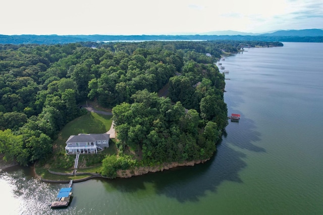 1147 Lakefront Pl, White Pine, TN 37890 - photo 5