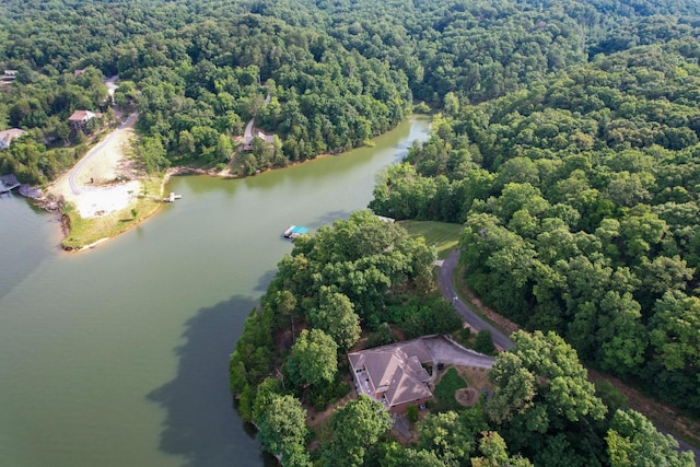 1147 Lakefront Pl, White Pine, TN 37890 - photo 12