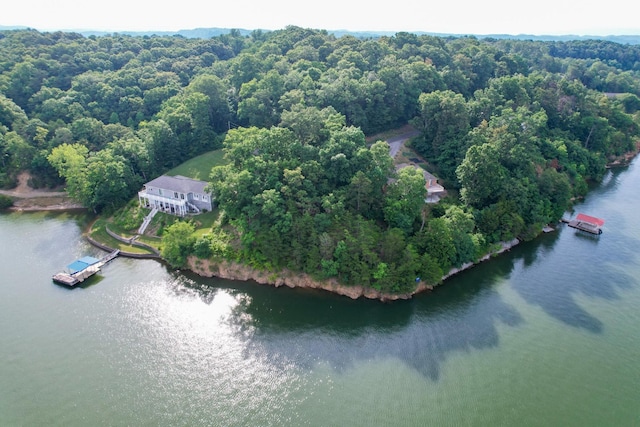 1147 Lakefront Pl, White Pine, TN 37890 - photo 8