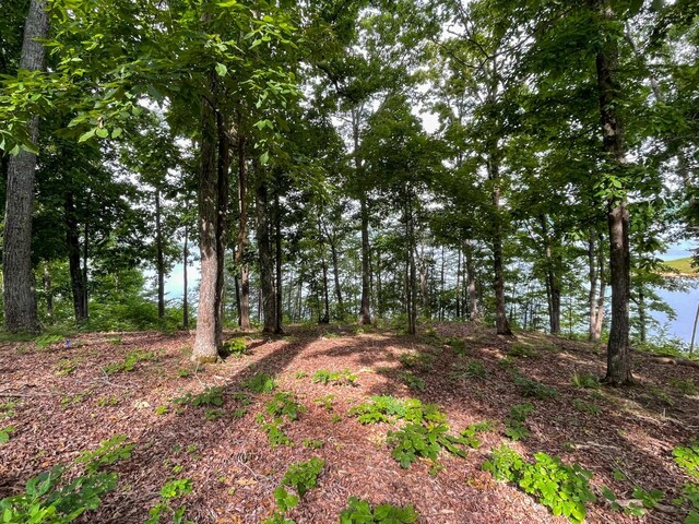 1147 Lakefront Pl, White Pine, TN 37890 - photo 15