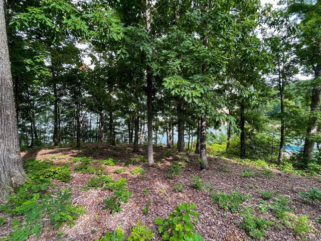 1147 Lakefront Pl, White Pine, TN 37890 - photo 16