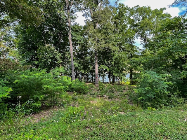1147 Lakefront Pl, White Pine, TN 37890 - photo 17