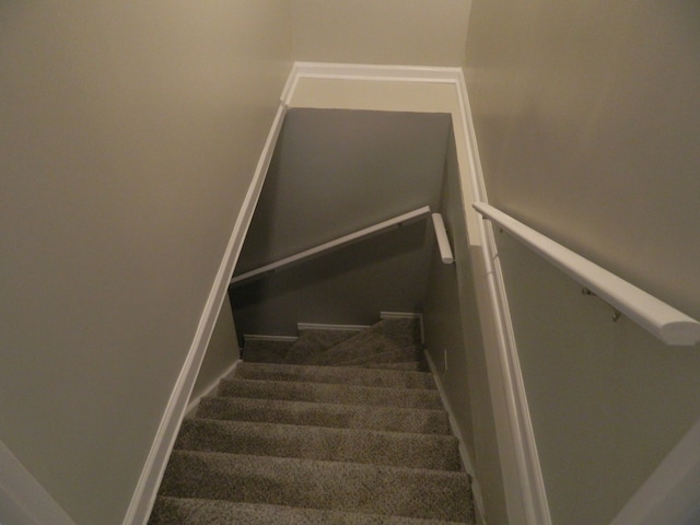 stairs with carpet floors