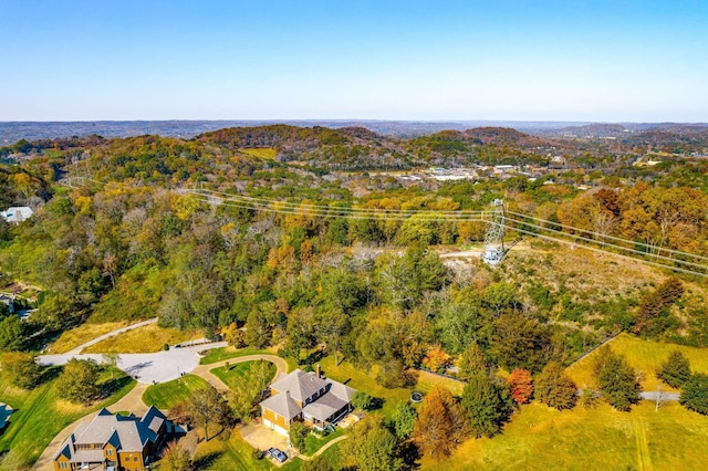 402 Lake Valley Dr, Franklin, TN 37069 - photo 16