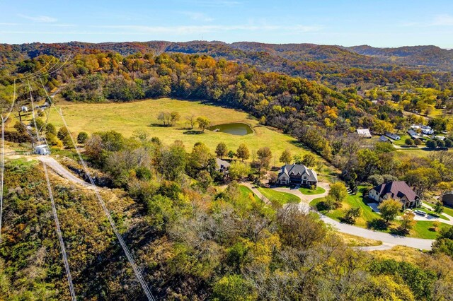 402 Lake Valley Dr, Franklin, TN 37069 - photo 19