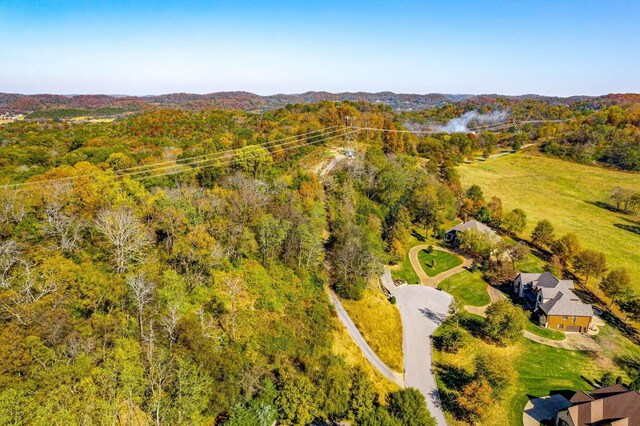 402 Lake Valley Dr, Franklin, TN 37069 - photo 23