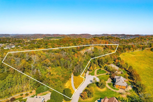 402 Lake Valley Dr, Franklin, TN 37069 - photo 1