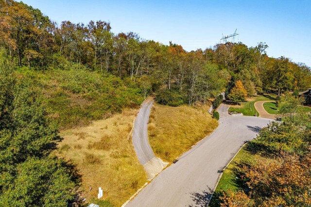 402 Lake Valley Dr, Franklin, TN 37069 - photo 9