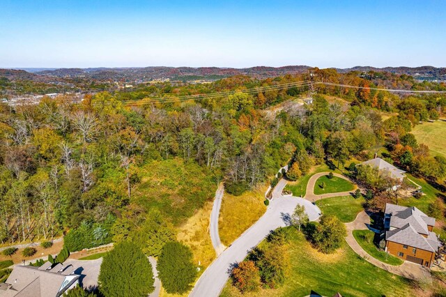402 Lake Valley Dr, Franklin, TN 37069 - photo 14