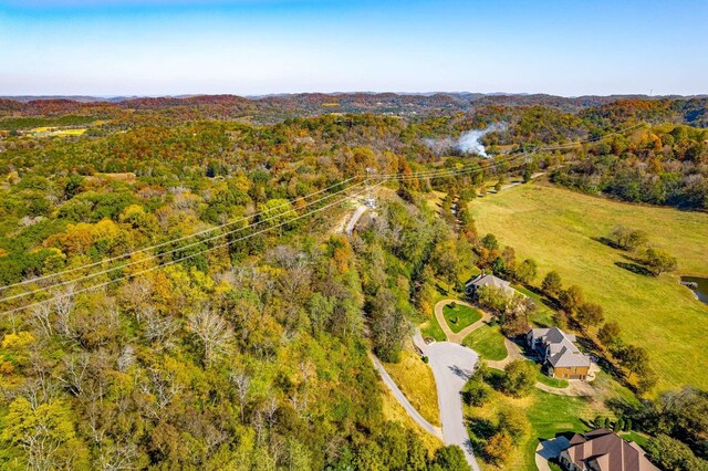 402 Lake Valley Dr, Franklin, TN 37069 - photo 22