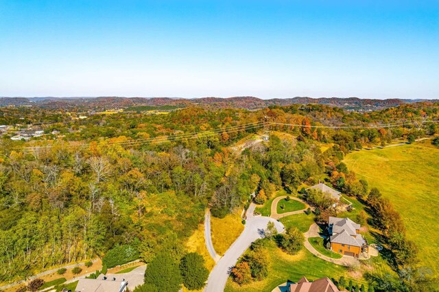 402 Lake Valley Dr, Franklin, TN 37069 - photo 8