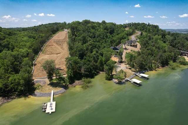 74 Clear Pt, Dandridge, TN 37725 - photo 29