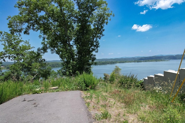 74 Clear Pt, Dandridge, TN 37725 - photo 8