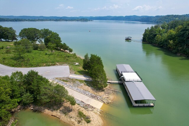74 Clear Pt, Dandridge, TN 37725 - photo 26