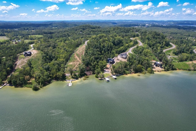 74 Clear Pt, Dandridge, TN 37725 - photo 18