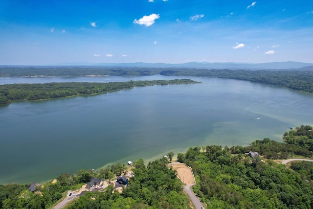74 Clear Pt, Dandridge, TN 37725 - photo 16