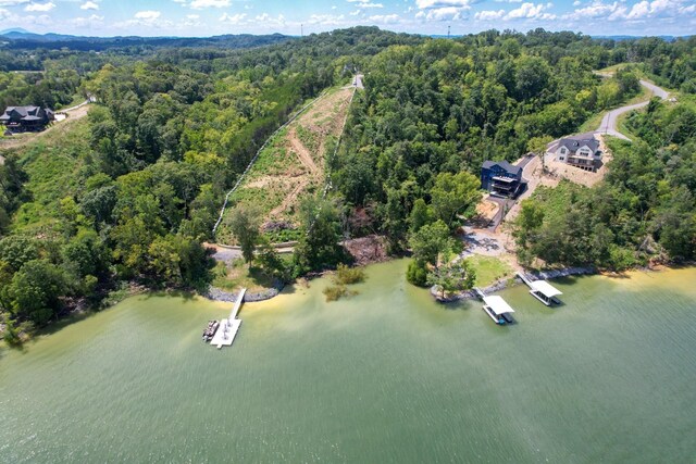 74 Clear Pt, Dandridge, TN 37725 - photo 19