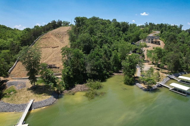 74 Clear Pt, Dandridge, TN 37725 - photo 20