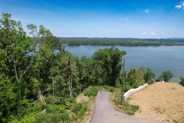 74 Clear Pt, Dandridge, TN 37725 - photo 11