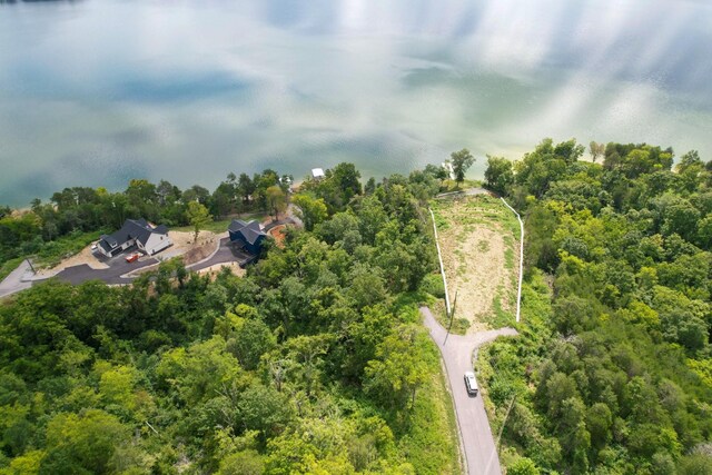 74 Clear Pt, Dandridge, TN 37725 - photo 14