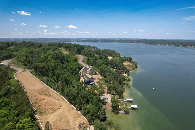 74 Clear Pt, Dandridge, TN 37725 - photo 17