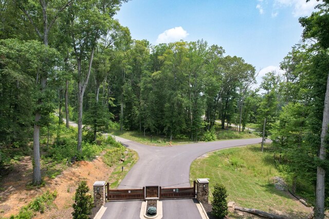74 Clear Pt, Dandridge, TN 37725 - photo 21