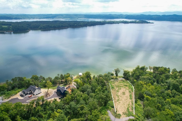 74 Clear Pt, Dandridge, TN 37725 - photo 13