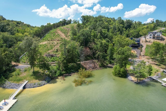 74 Clear Pt, Dandridge, TN 37725 - photo 5