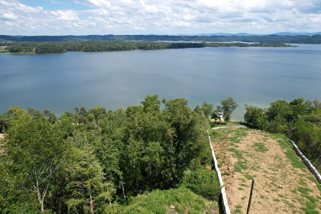 74 Clear Pt, Dandridge, TN 37725 - photo 10