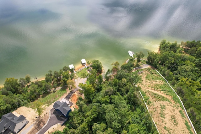 74 Clear Pt, Dandridge, TN 37725 - photo 12