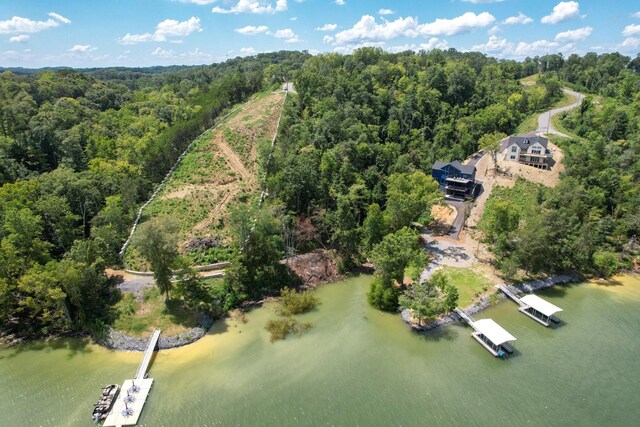 74 Clear Pt, Dandridge, TN 37725 - photo 4