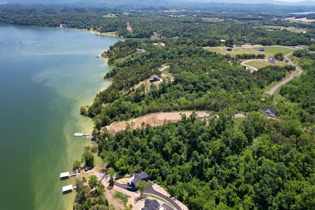 74 Clear Pt, Dandridge, TN 37725 - photo 15