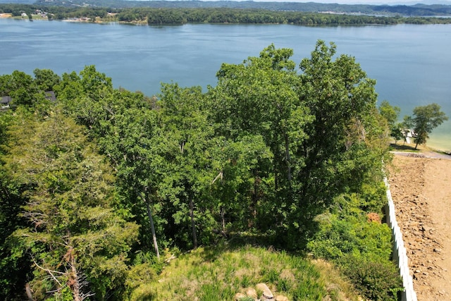 74 Clear Pt, Dandridge, TN 37725 - photo 9