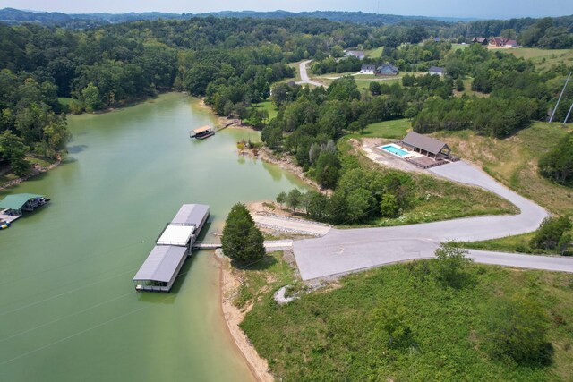 74 Clear Pt, Dandridge, TN 37725 - photo 28