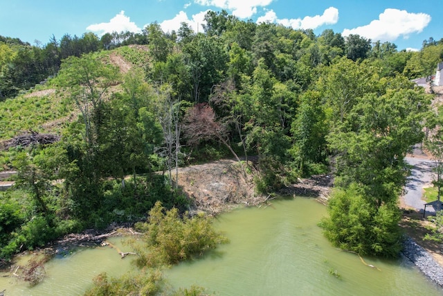 74 Clear Pt, Dandridge, TN 37725 - photo 6