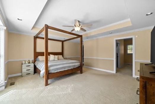 carpeted bedroom with crown molding, a raised ceiling, and ceiling fan