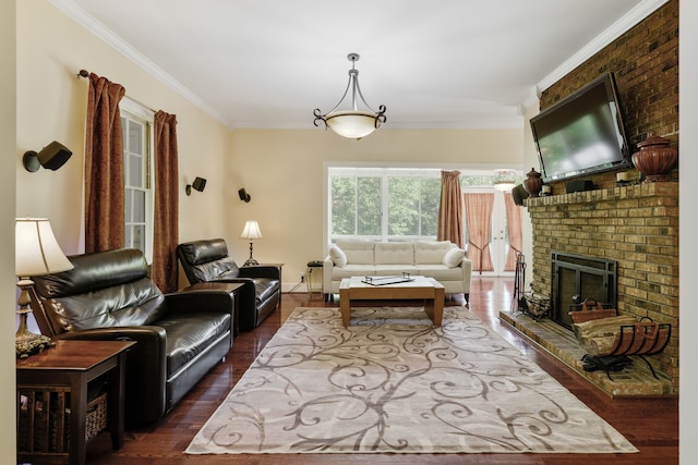 living room with crown molding, dark hardwood / wood-style flooring, and a fireplace