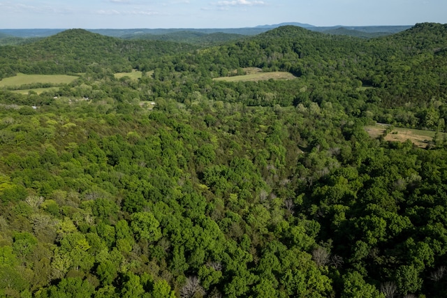 drone / aerial view with a mountain view