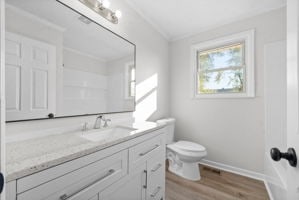 bathroom with vanity, toilet, crown molding, and hardwood / wood-style floors