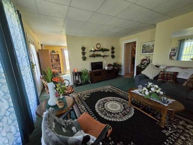 carpeted living room featuring a drop ceiling