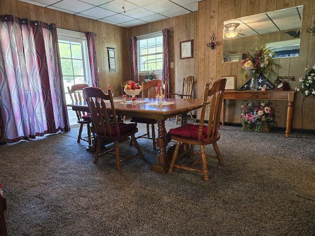 carpeted dining room featuring wooden walls, a drop ceiling, a healthy amount of sunlight, and ceiling fan