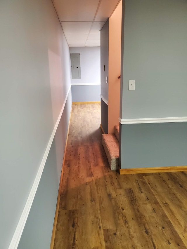 hallway featuring a drop ceiling, hardwood / wood-style floors, and electric panel