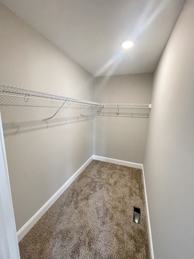 walk in closet with carpet floors