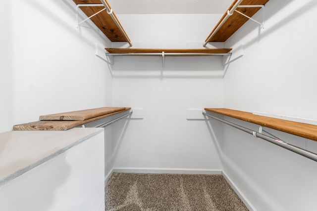 walk in closet featuring carpet floors