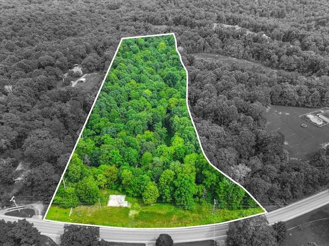 4199 Lylewood Rd, Indian Mound, TN 37079